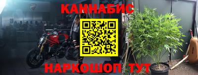 шишки Новоалтайск