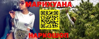 шишки Новоалтайск