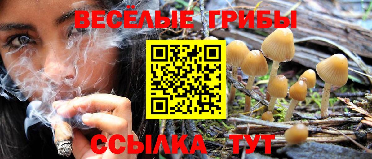 Псилоцибиновые грибы ЛСД Камышин