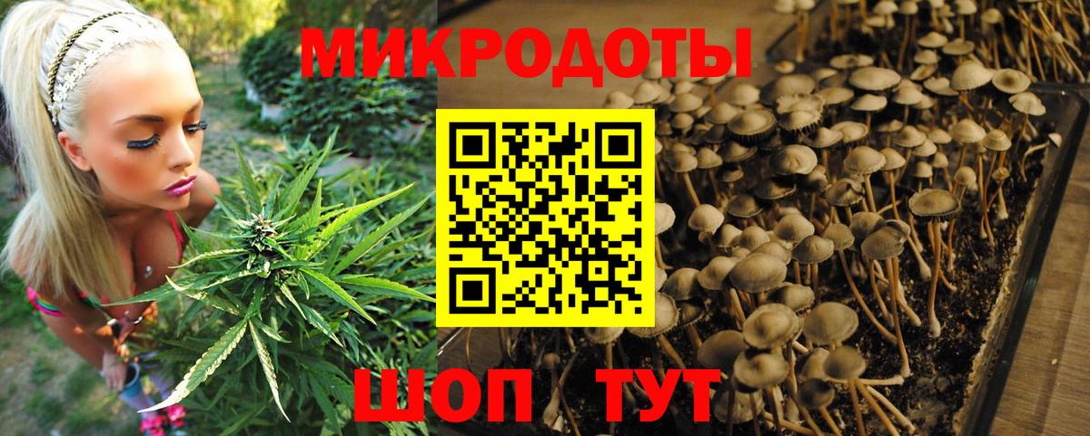 Камышин  Галлюциногенные грибы прущие грибы  Вход с VPN 